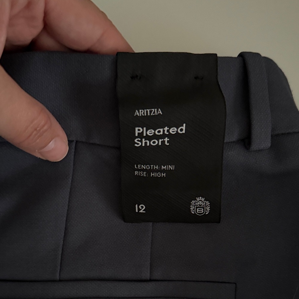 Aritzia Charcoal Pleated Shorts